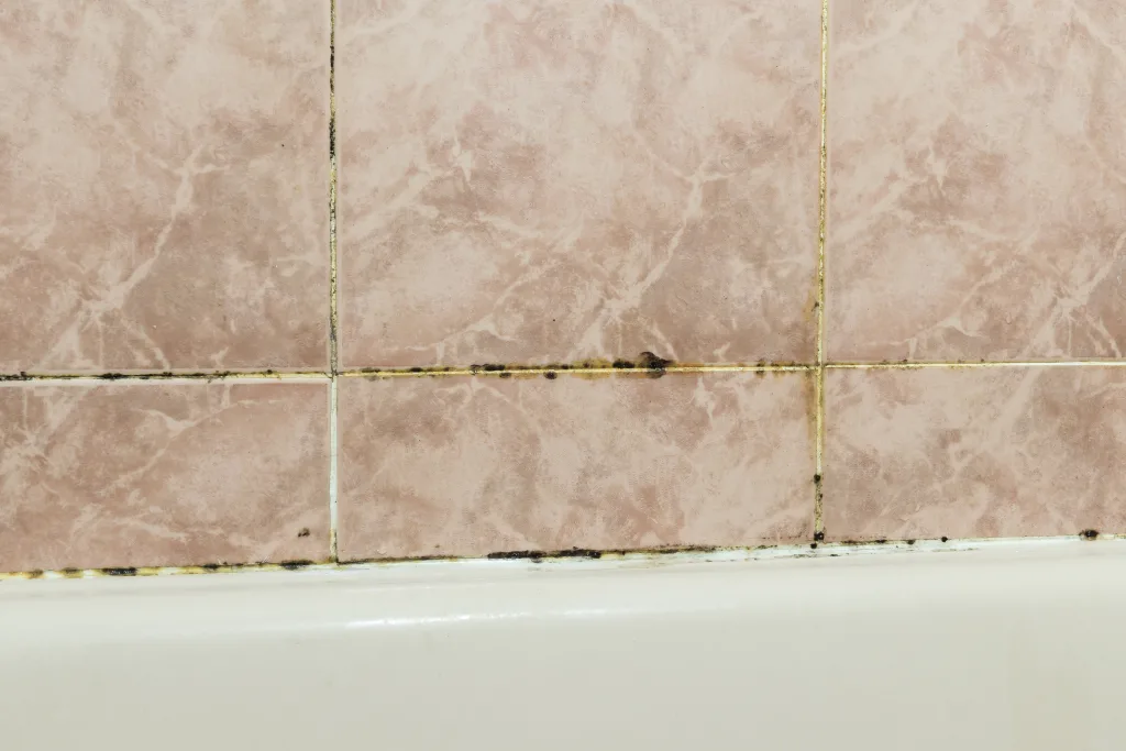 black mold growing between and around tiles in a bathroom