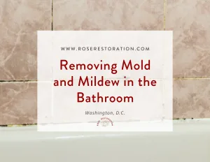 Removing mold and mildew from your bathroom.